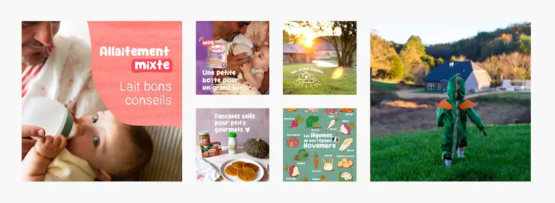 Bloc social sur babybio.fr