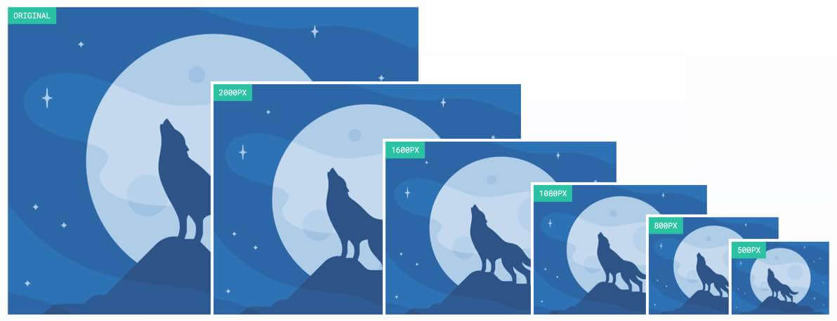Illustration du principe de visuel responsive